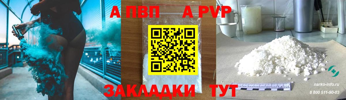 Альфа ПВП СК КРИС Урус-Мартан