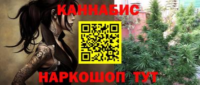 индика Заводоуковск