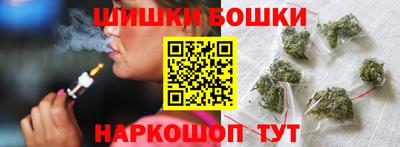 индика Заводоуковск