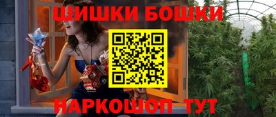 индика Заводоуковск